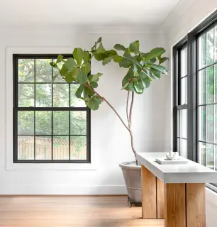 MARVIN ELEVATE DOUBLE HUNG WINDOW